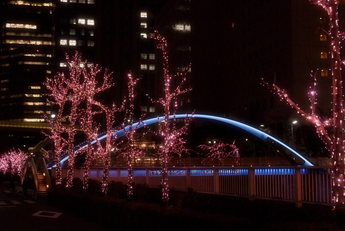 目黒川みんなのイルミネーション2021