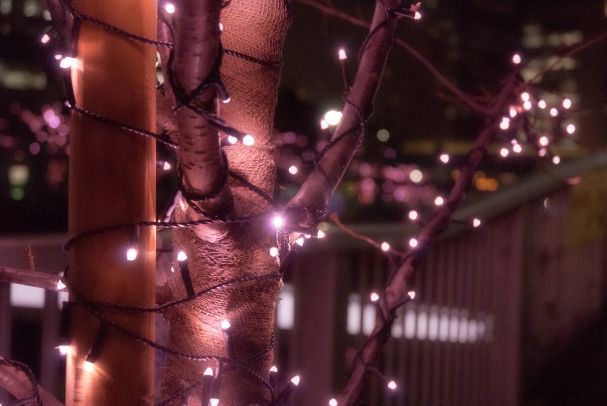 目黒川みんなのイルミネーション2021