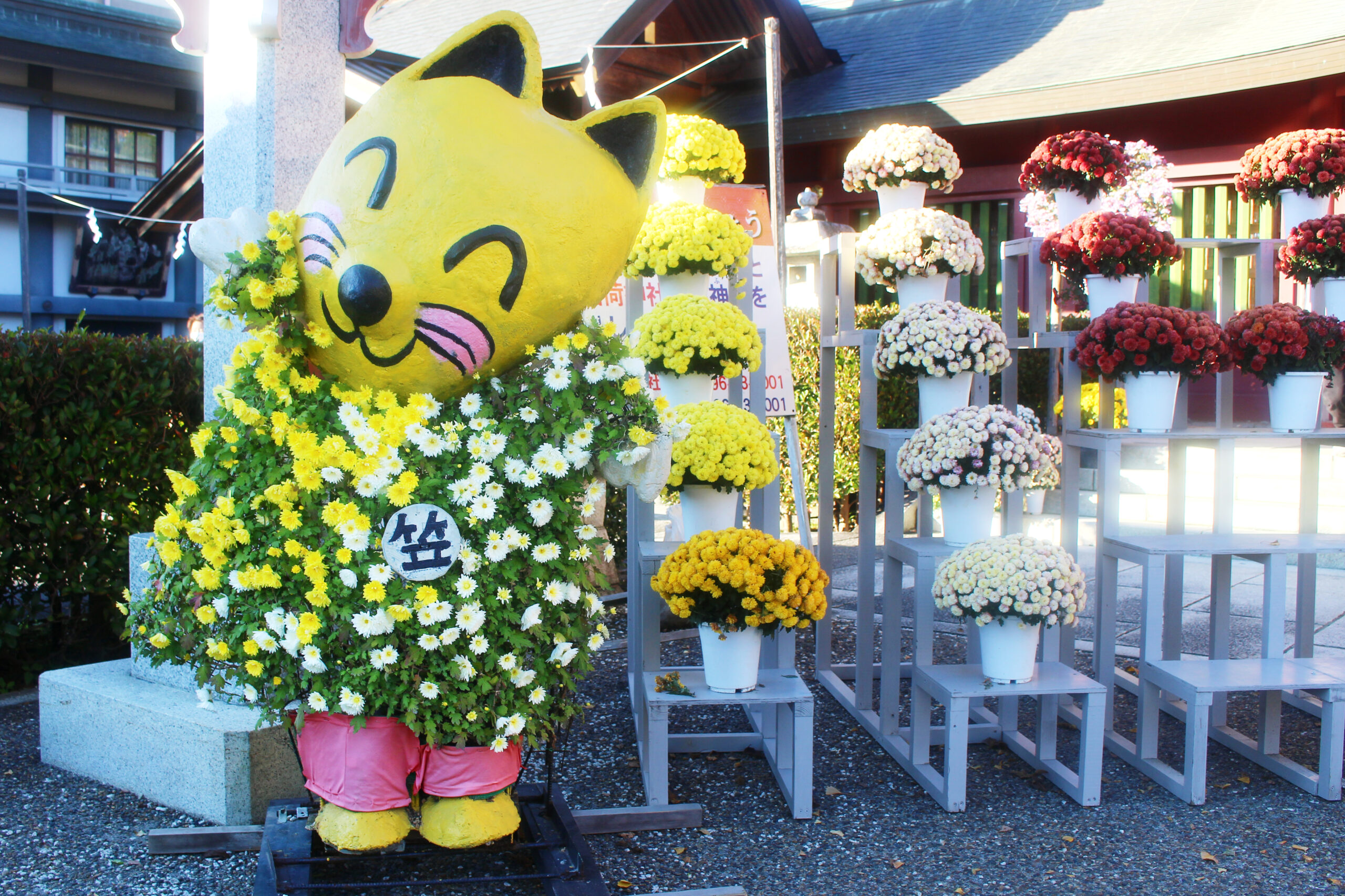 笠間稲荷菊まつり