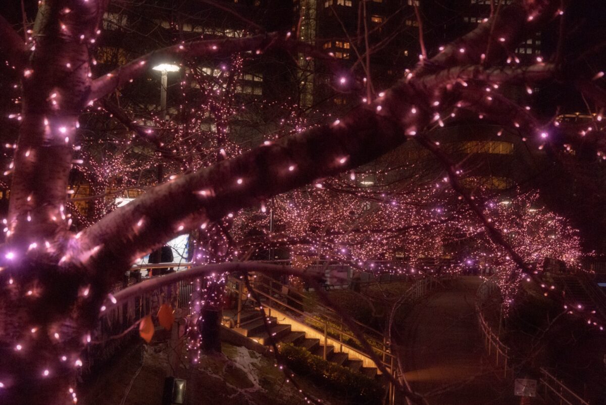 目黒川みんなのイルミネーション2021