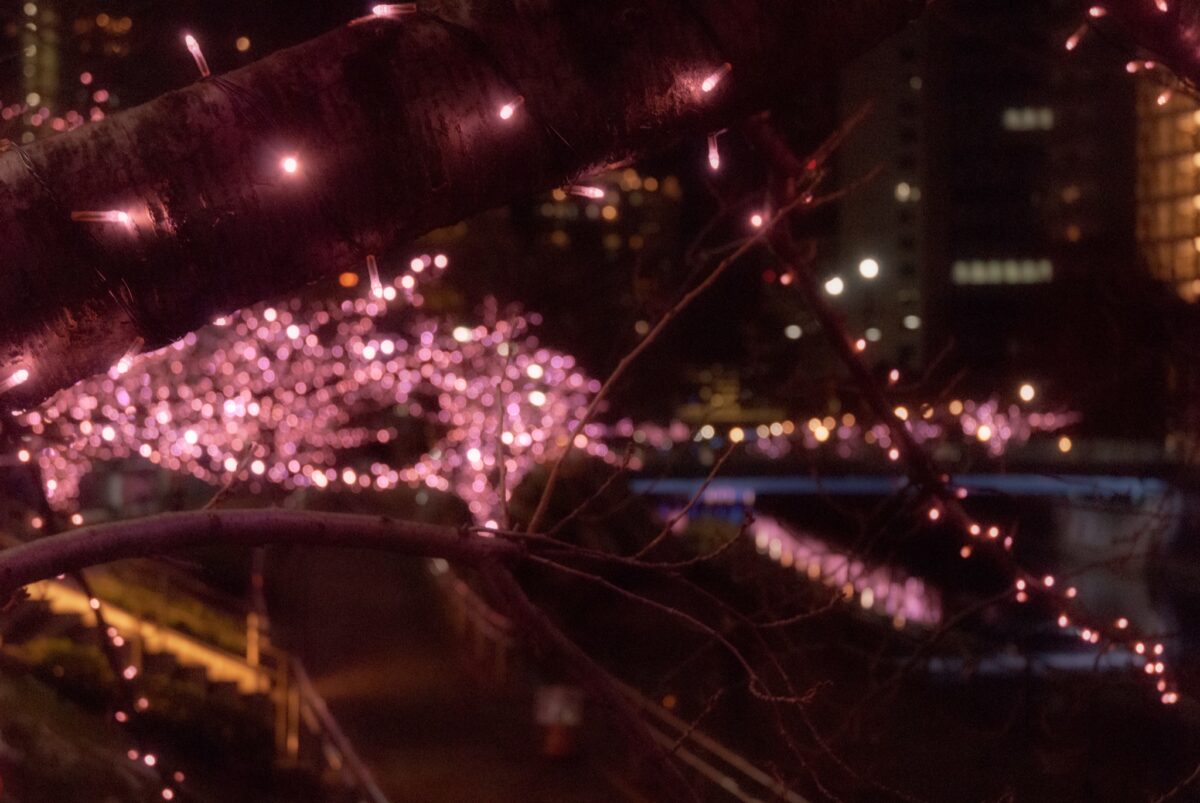 目黒川みんなのイルミネーション2021