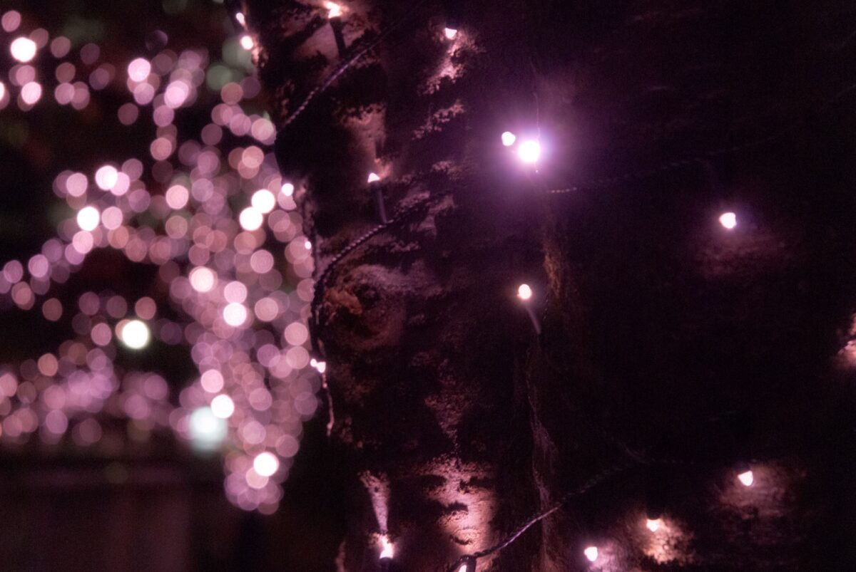 目黒川みんなのイルミネーション2021