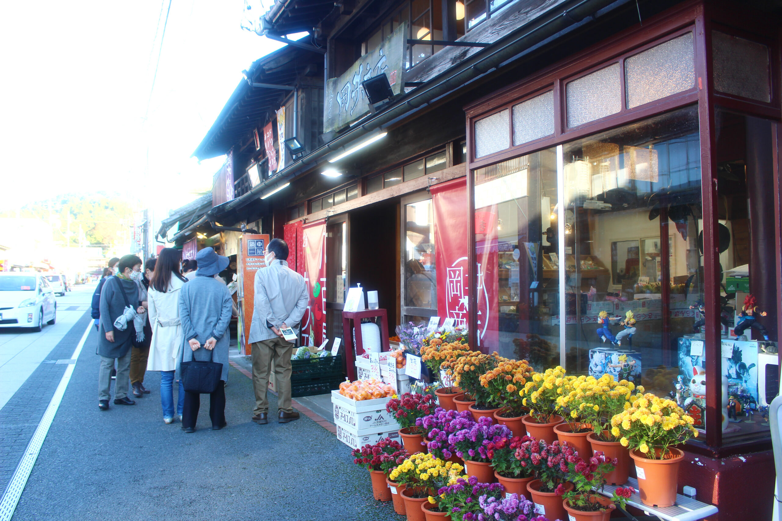 笠間稲荷菊まつり