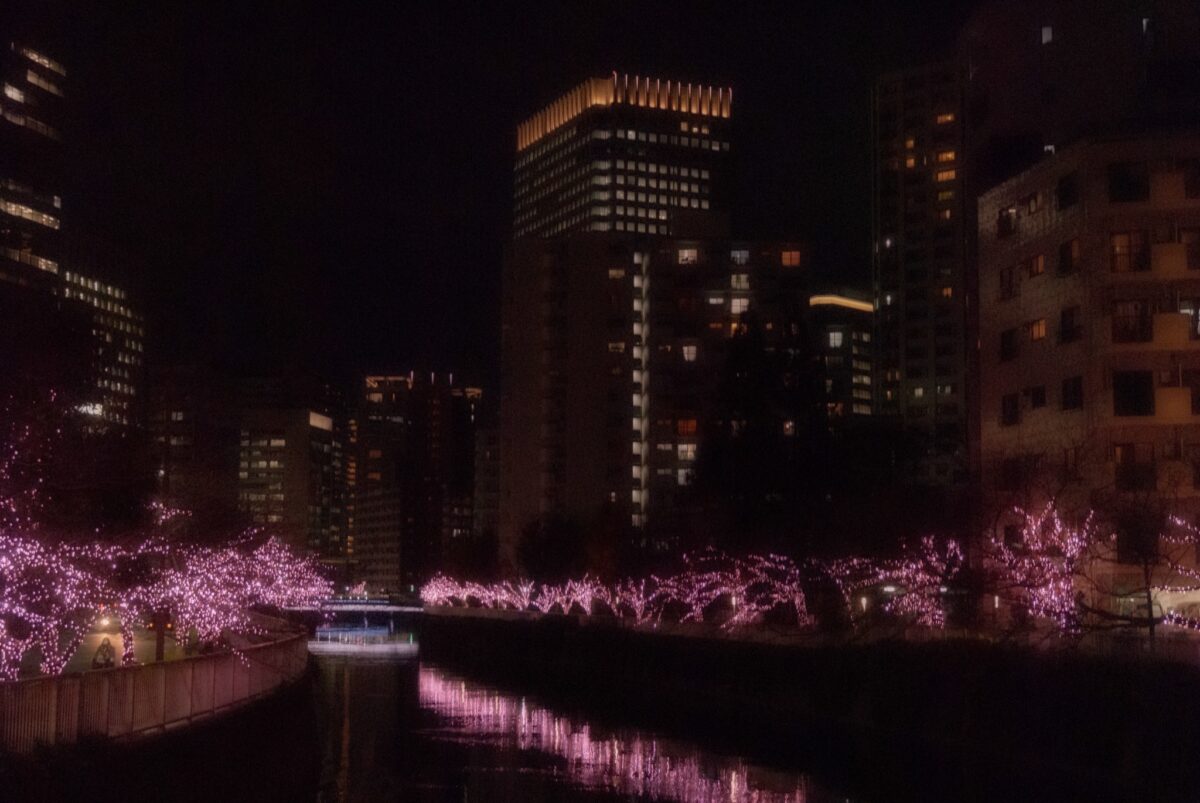 目黒川みんなのイルミネーション2021