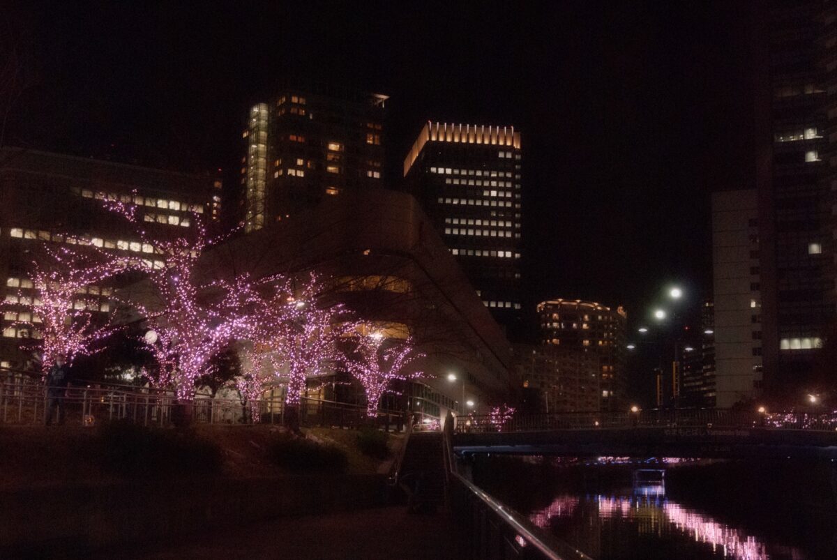 目黒川みんなのイルミネーション2021