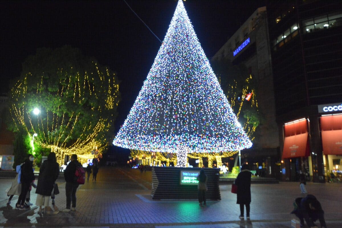 クスノキが58個のシャンパングラスに変身 多摩センターイルミネーションが開催中 オマツリジャパン あなたと祭りをつなげるメディア クスノキが58個のシャンパングラスに変身 多摩センターイルミネーションが開催中 オマツリジャパン あなたと祭りをつなげるメディア