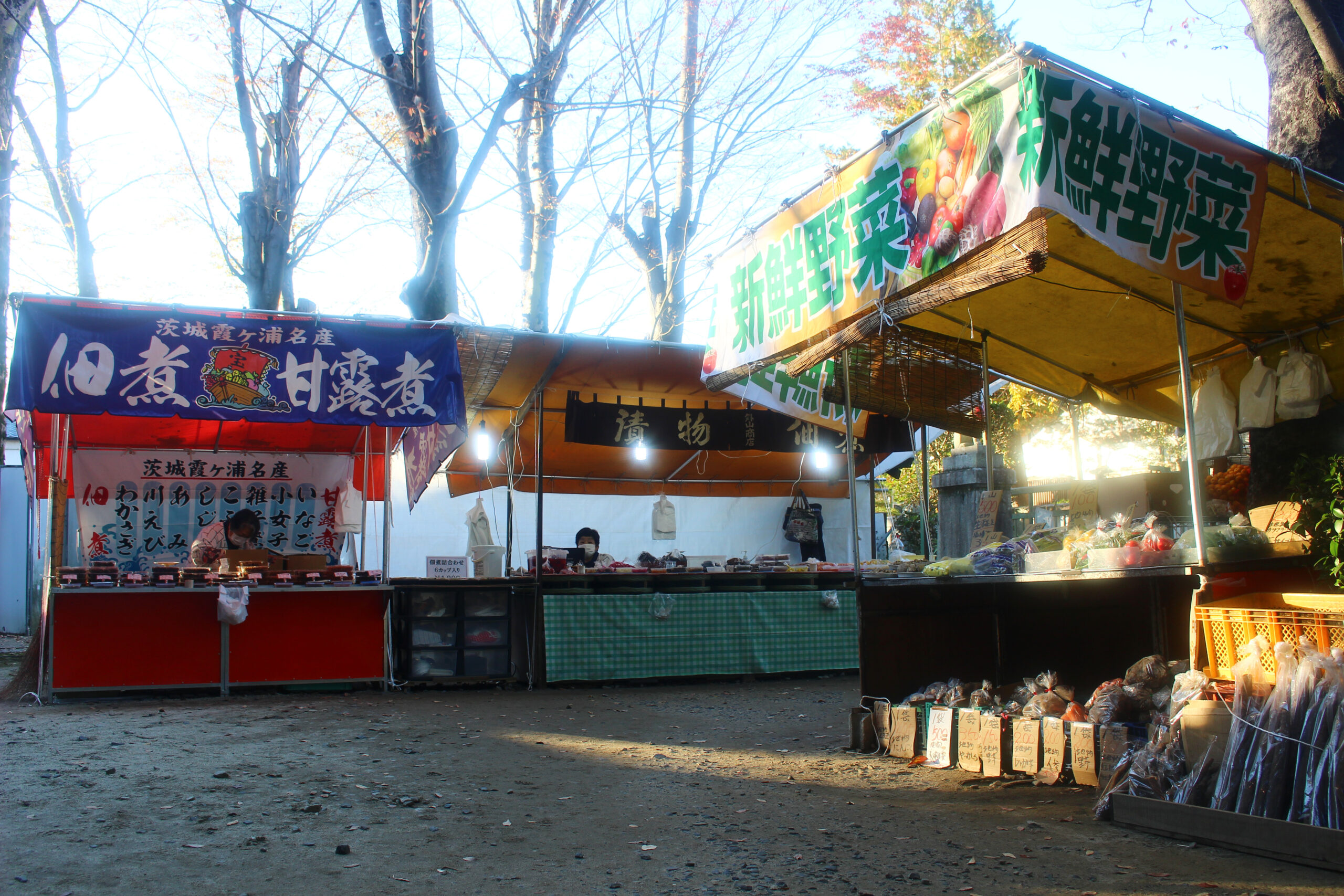 笠間稲荷菊まつり