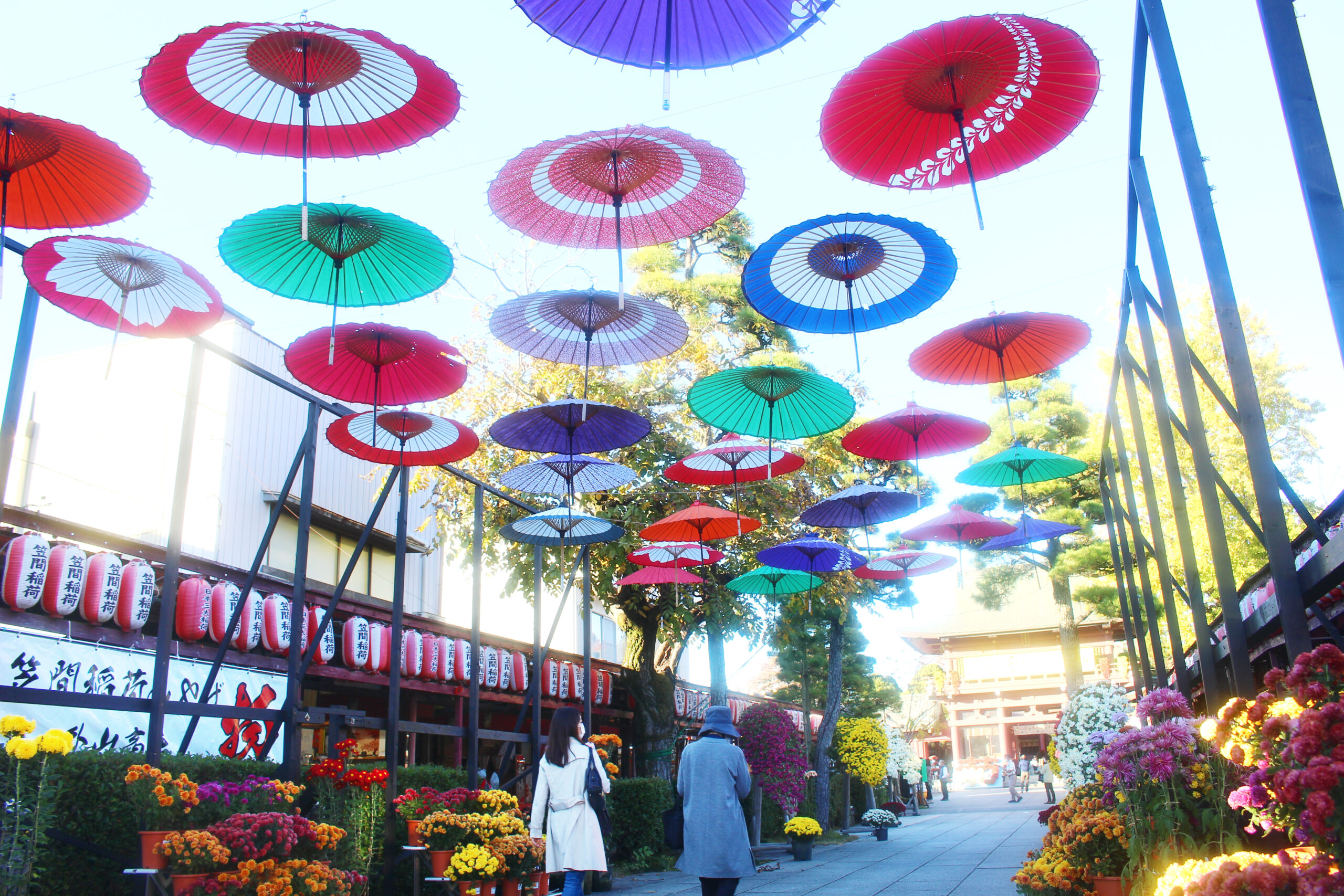 笠間稲荷菊まつり