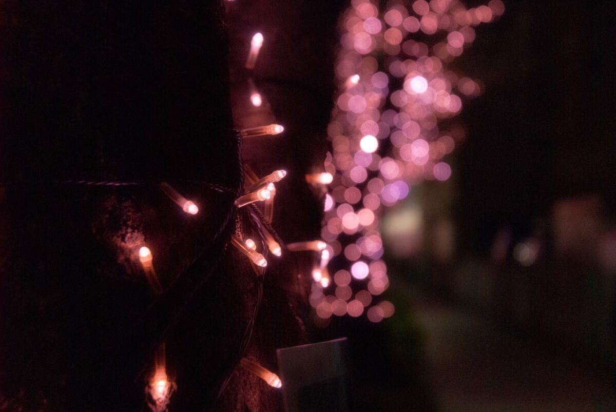 目黒川みんなのイルミネーション2021