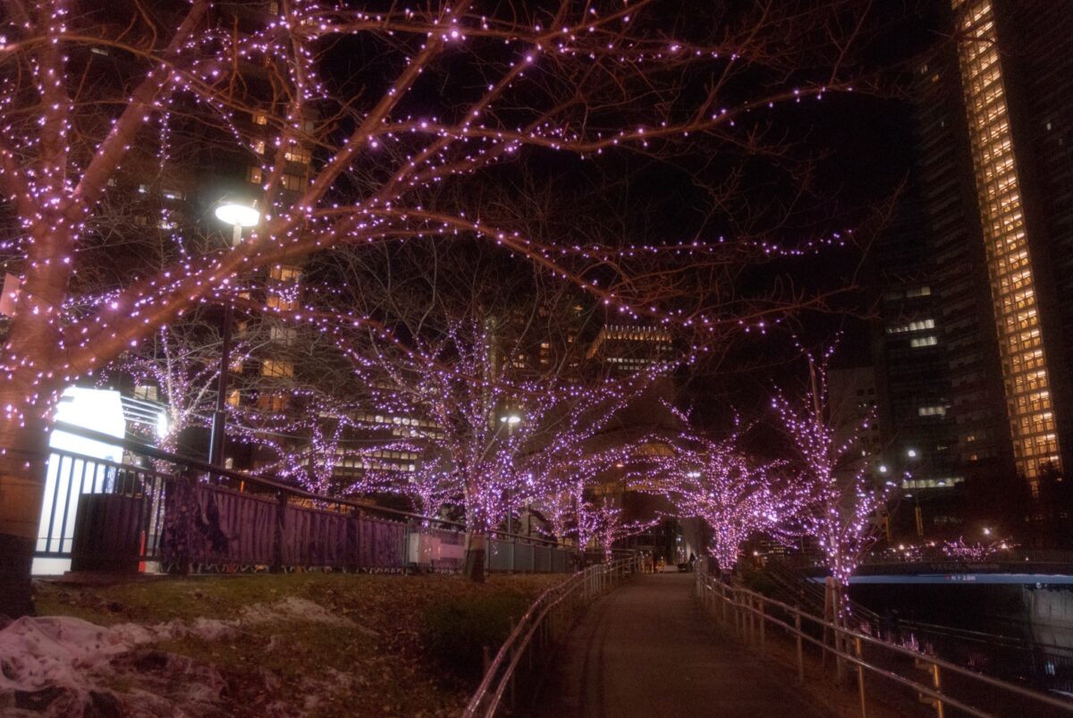 目黒川みんなのイルミネーション2021