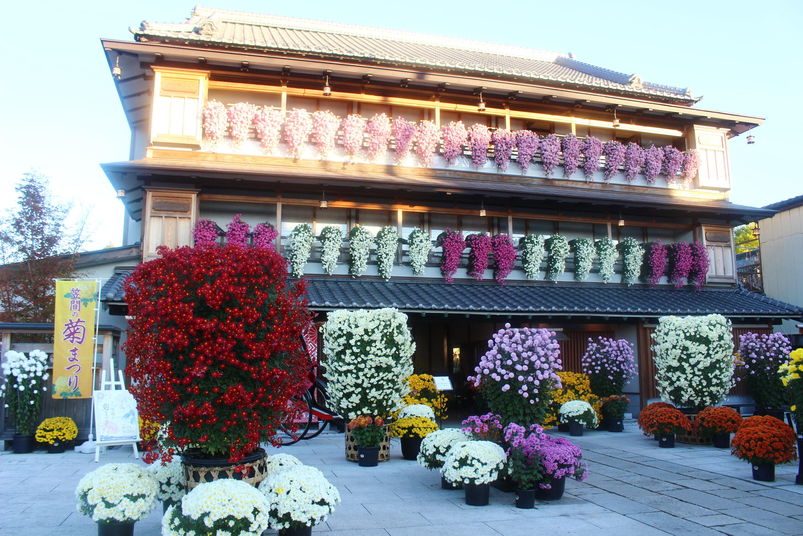 笠間稲荷菊まつり