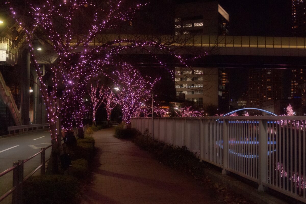 目黒川みんなのイルミネーション2021