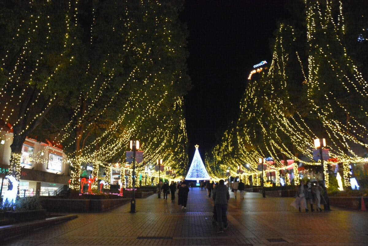 クスノキが58個のシャンパングラスに変身 多摩センターイルミネーションが開催中 オマツリジャパン あなたと祭りをつなげるメディア クスノキが58個のシャンパングラスに変身 多摩センターイルミネーションが開催中 オマツリジャパン あなたと祭りをつなげるメディア