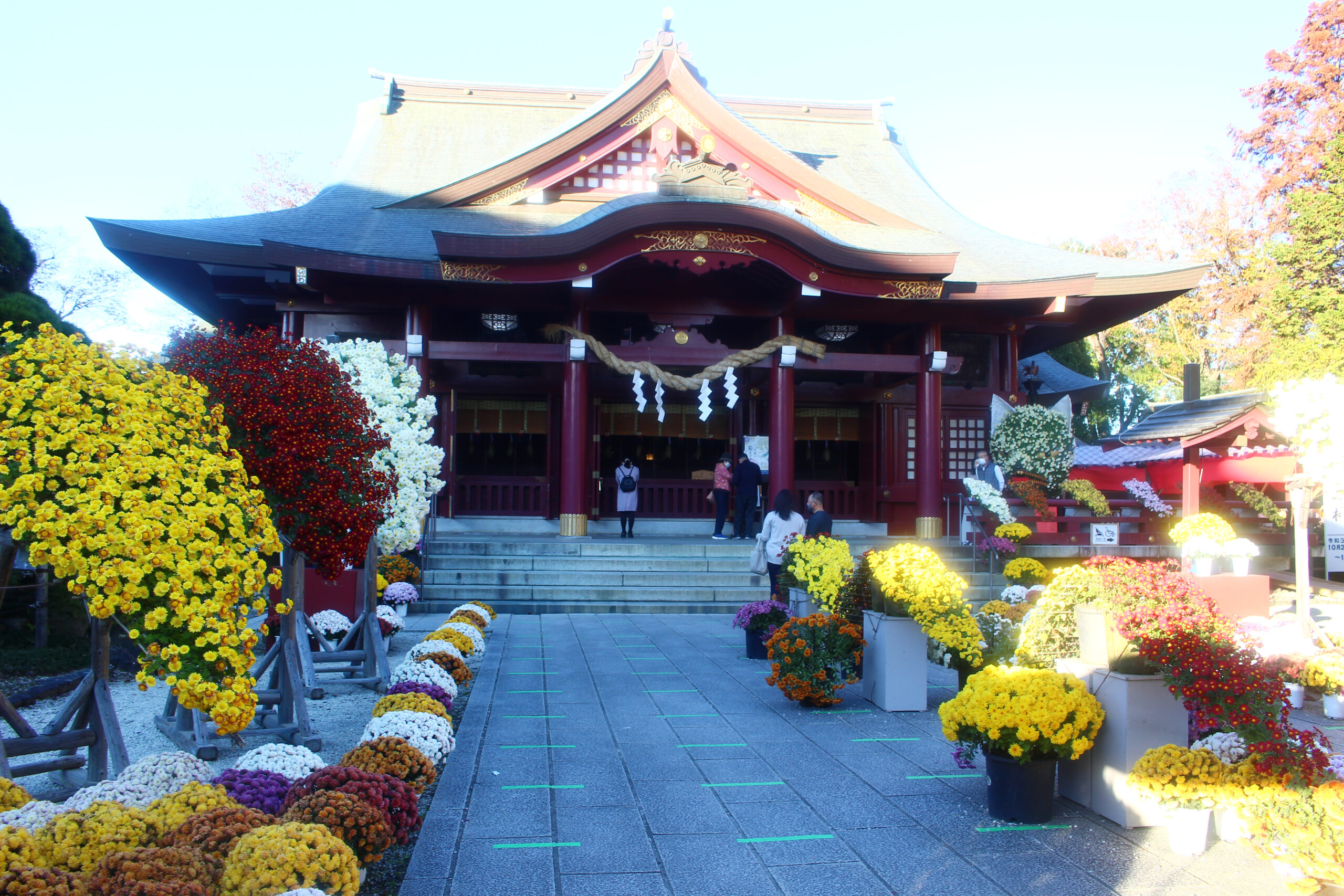 笠間稲荷菊まつり