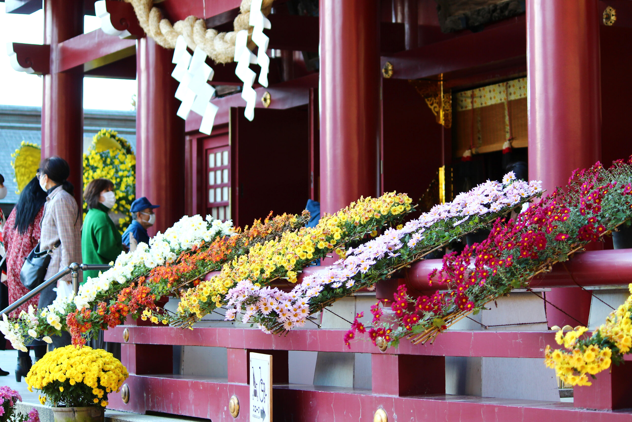 笠間稲荷菊まつり