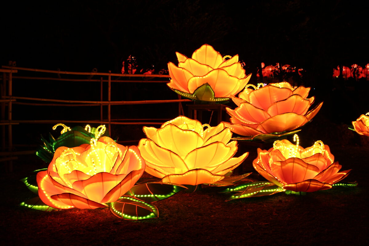 琉球ランタンフェスティバル