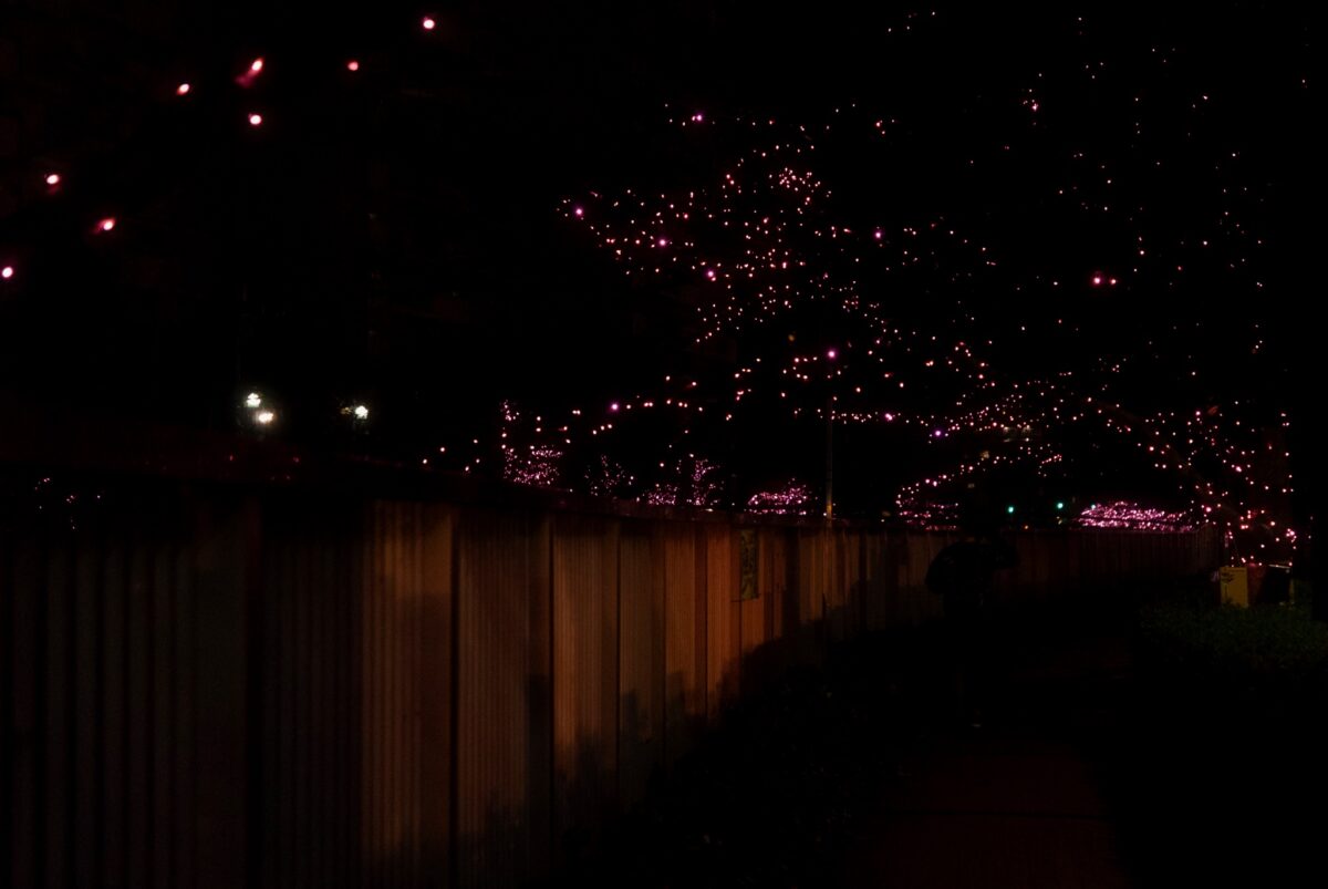 目黒川みんなのイルミネーション2021