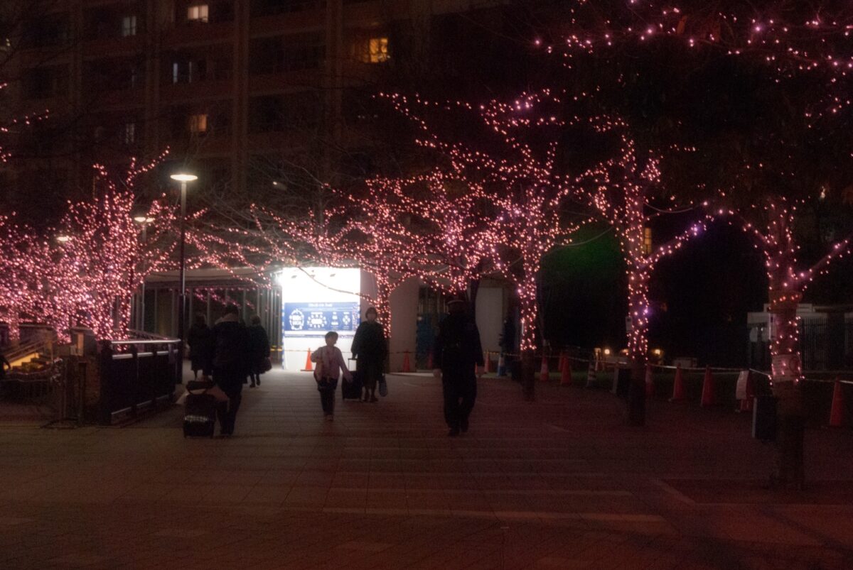 目黒川みんなのイルミネーション2021