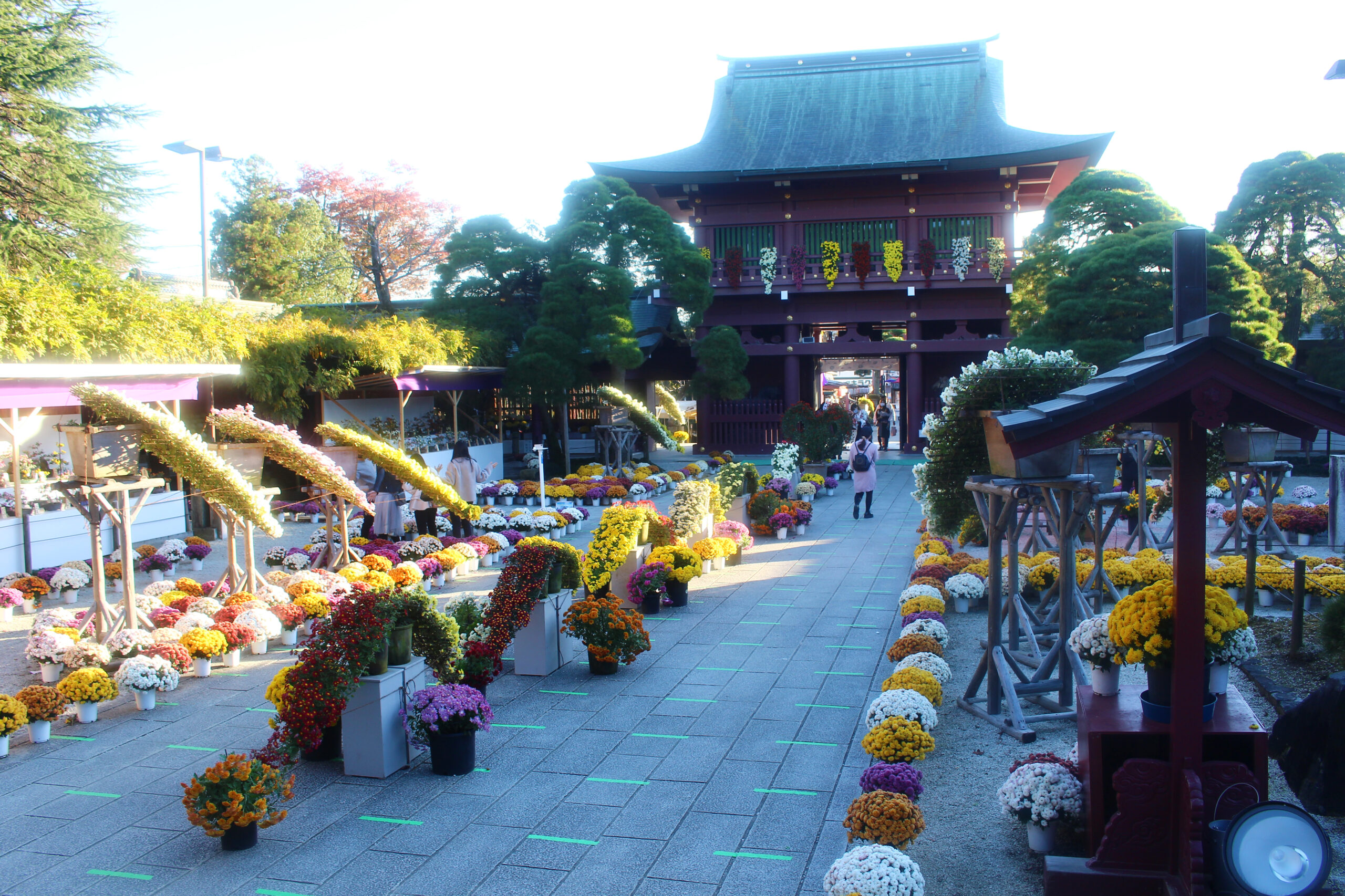 笠間稲荷菊まつり