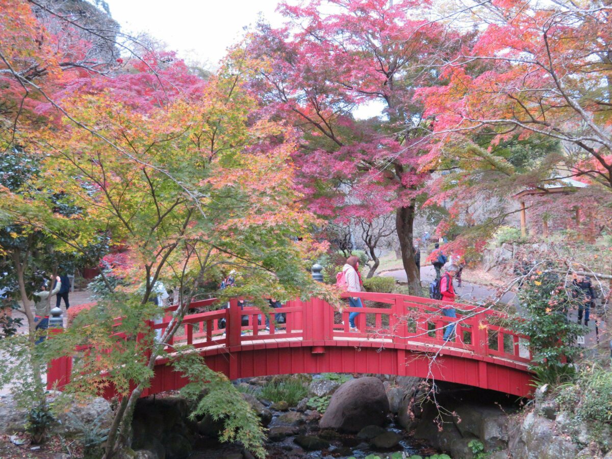 まだ紅葉が楽しめる熱海梅園！裏見の滝からの紅葉狩りに足湯も！