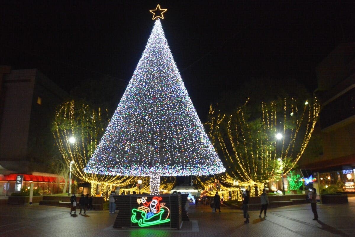 クスノキが58個のシャンパングラスに変身 多摩センターイルミネーションが開催中 オマツリジャパン あなたと祭りをつなげるメディア クスノキが58個のシャンパングラスに変身 多摩センターイルミネーションが開催中 オマツリジャパン あなたと祭りをつなげるメディア