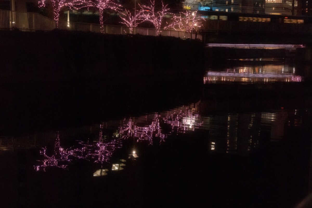 目黒川みんなのイルミネーション2021
