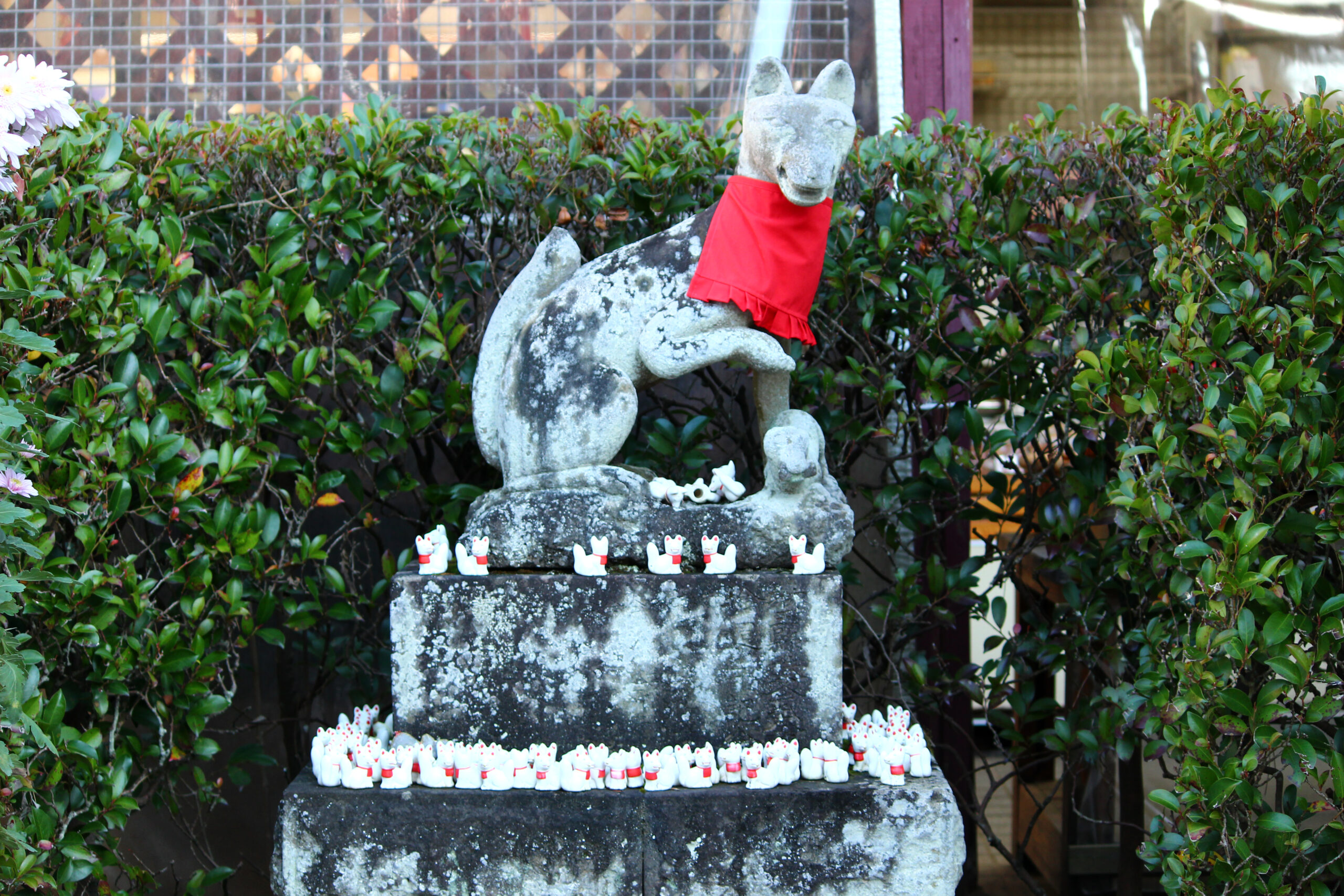 笠間稲荷菊まつり