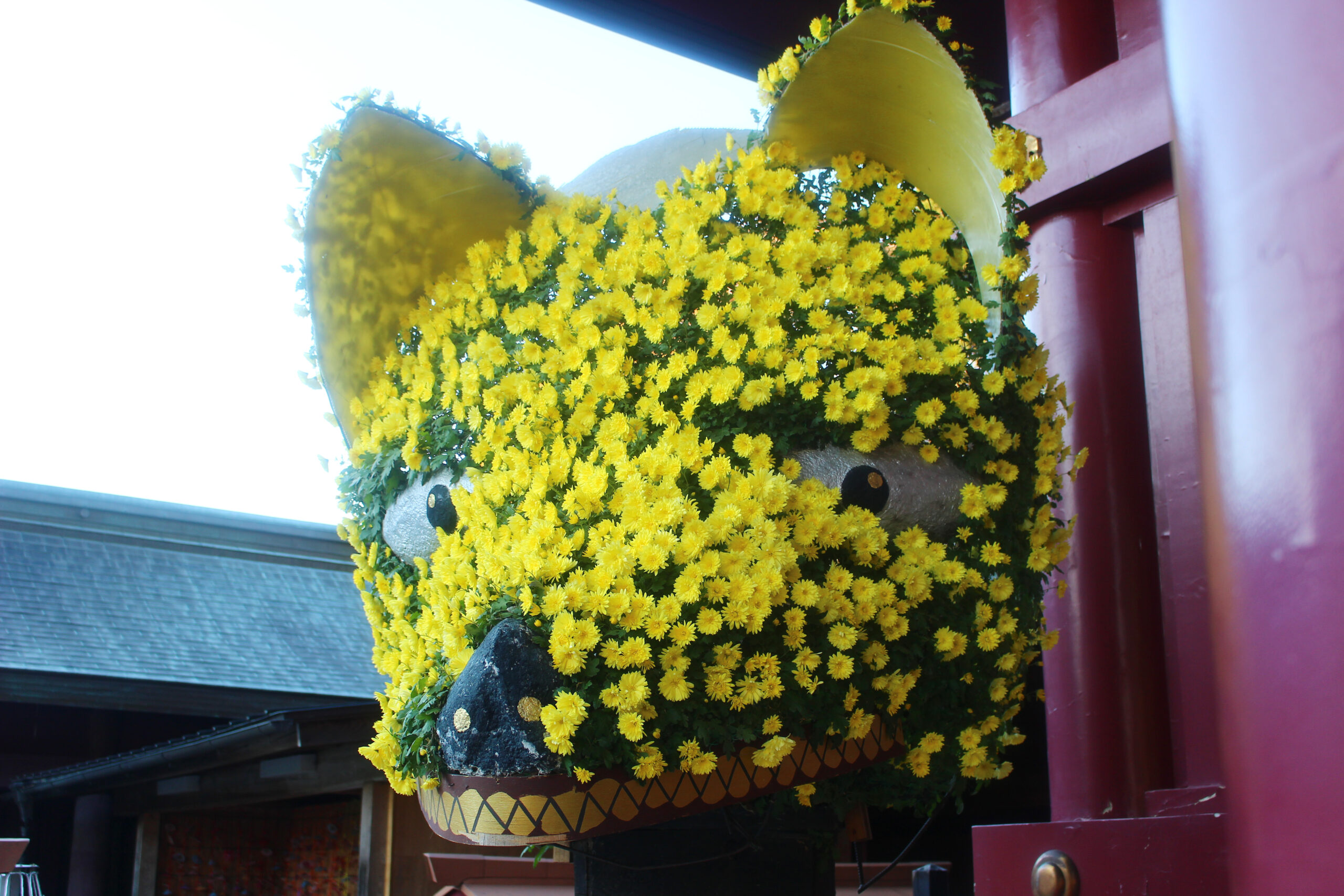 笠間稲荷菊まつり