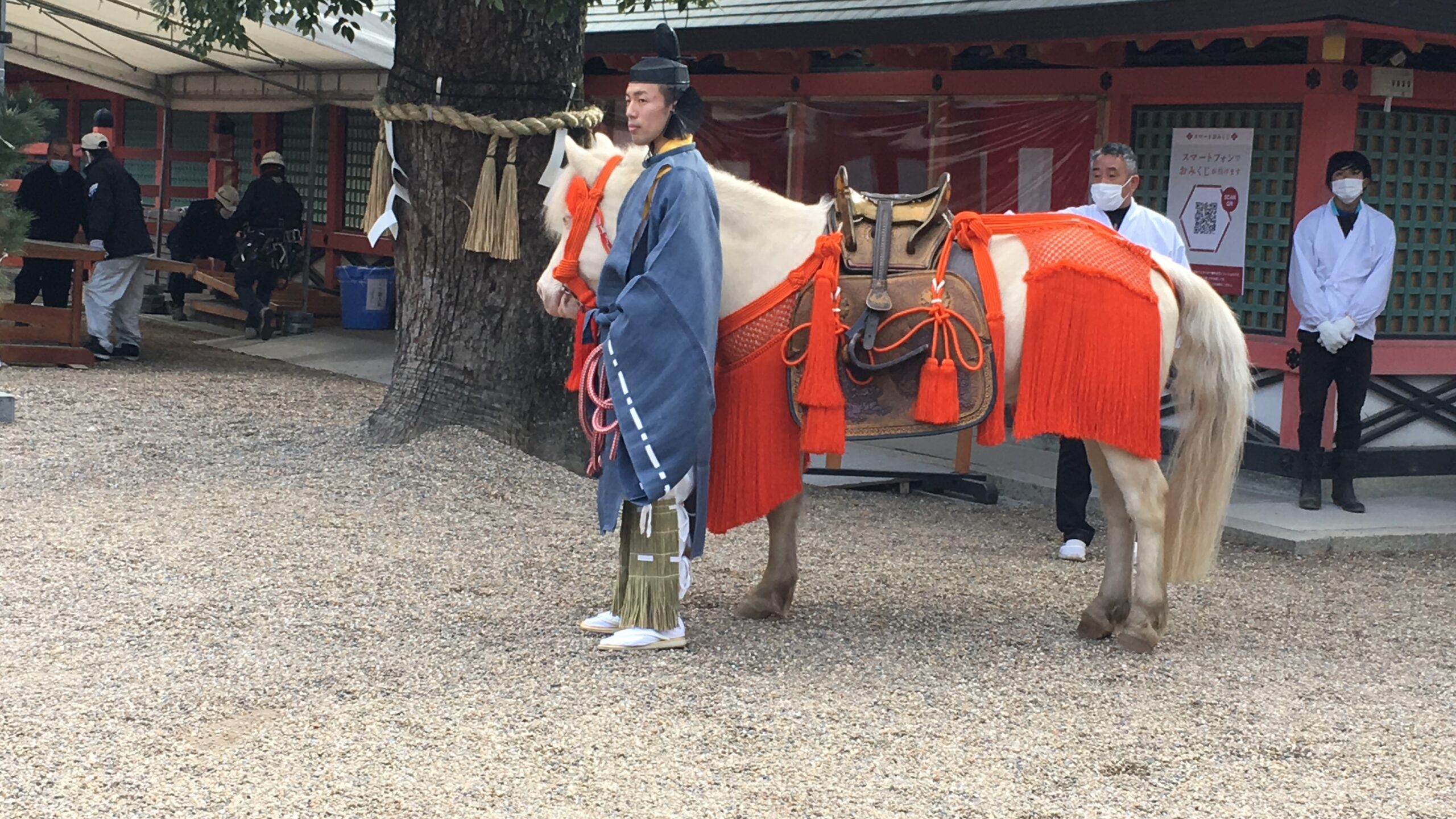 終始落ち着いた様子の白馬