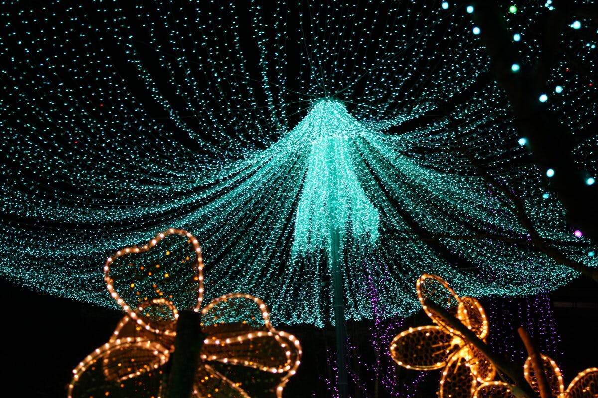 全国イルミネーションアワード第3位 東南植物楽園 沖縄南国イルミネーション オマツリジャパン あなたと祭りをつなげるメディア 全国イルミネーションアワード第3位 東南植物楽園 沖縄南国イルミネーション オマツリジャパン あなたと祭りをつなげるメディア