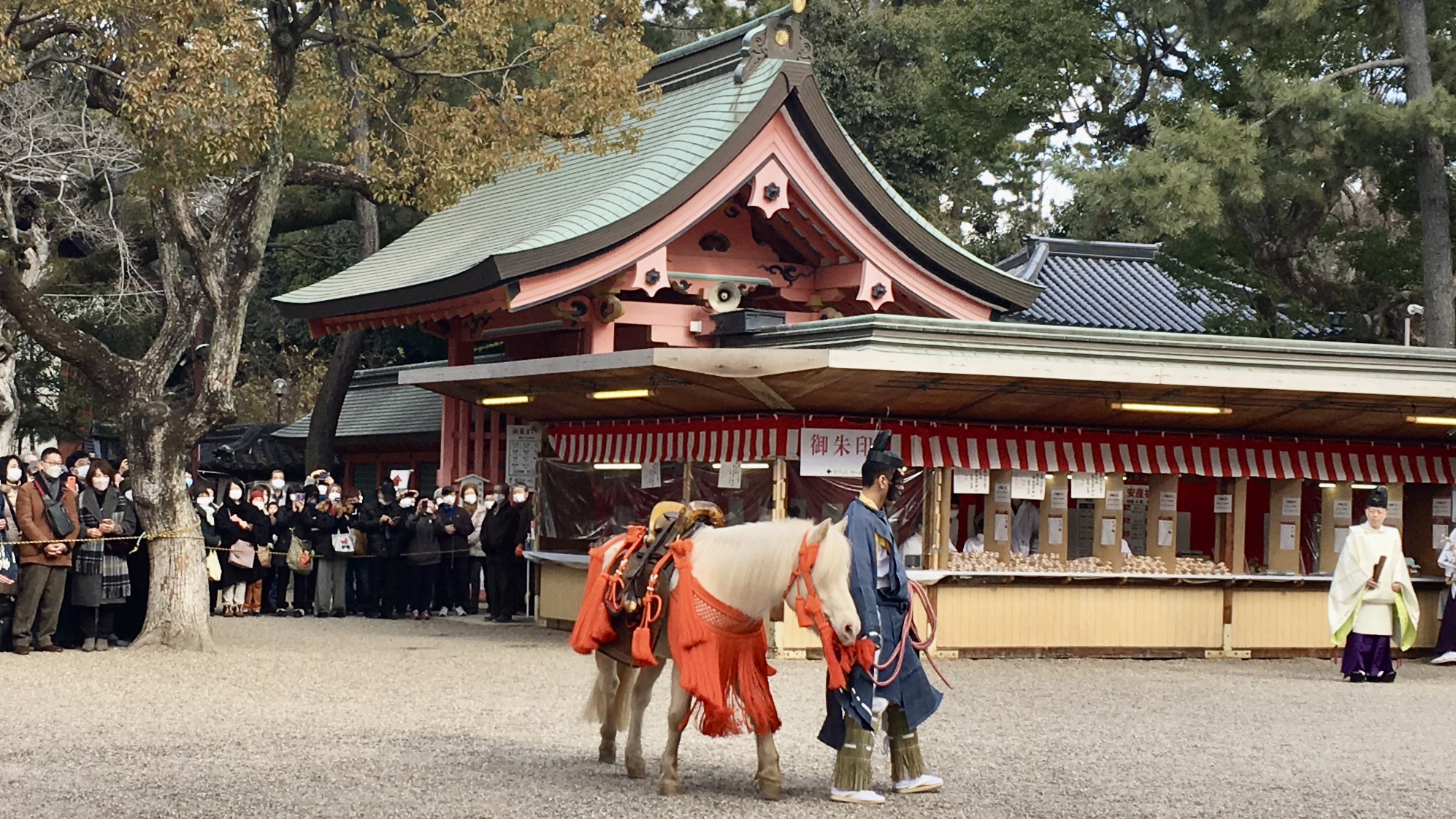 第一本宮前を目指す白馬