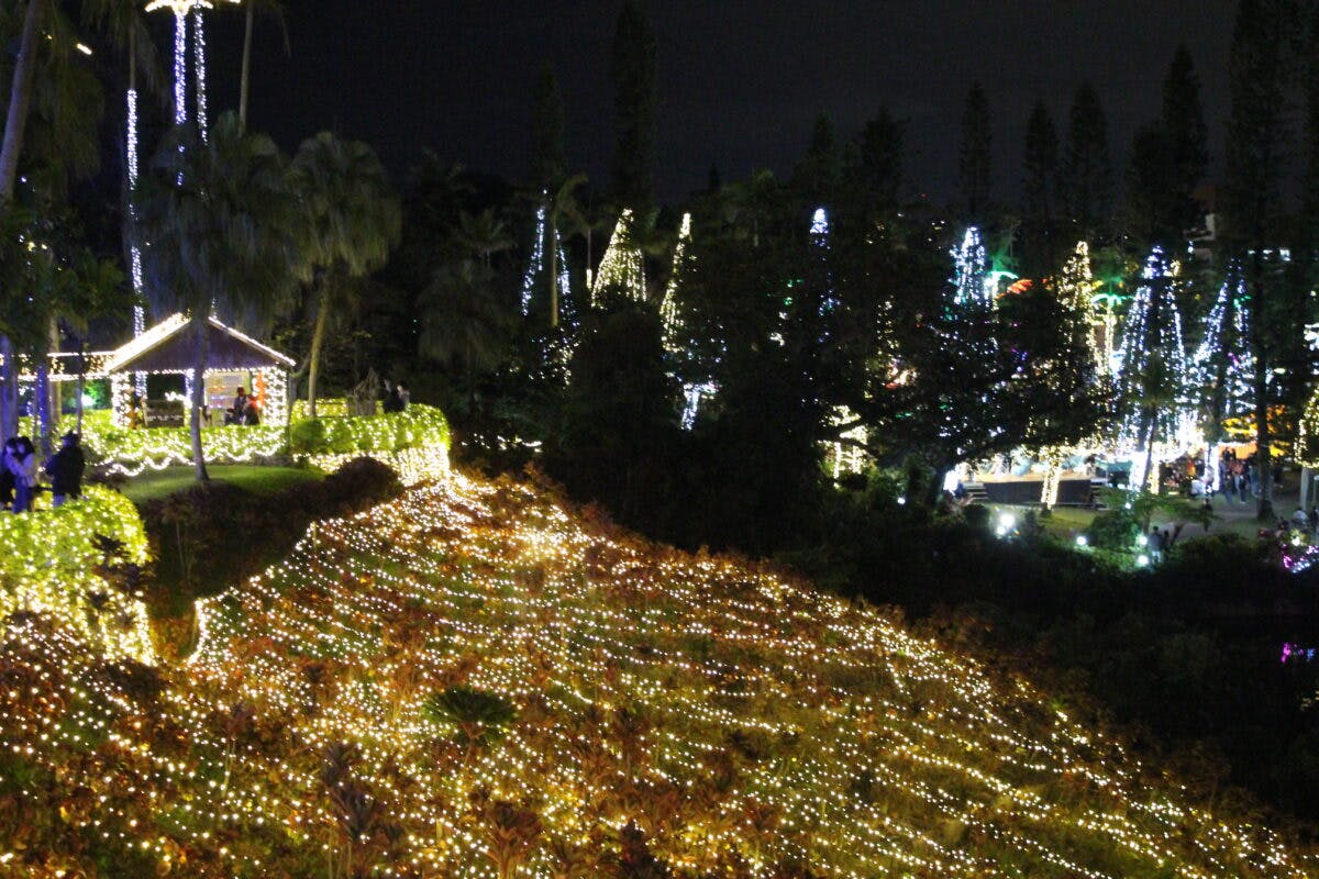 全国イルミネーションアワード第3位 東南植物楽園 沖縄南国イルミネーション オマツリジャパン あなたと祭りをつなげるメディア 全国イルミネーションアワード第3位 東南植物楽園 沖縄南国イルミネーション オマツリジャパン あなたと祭りをつなげるメディア