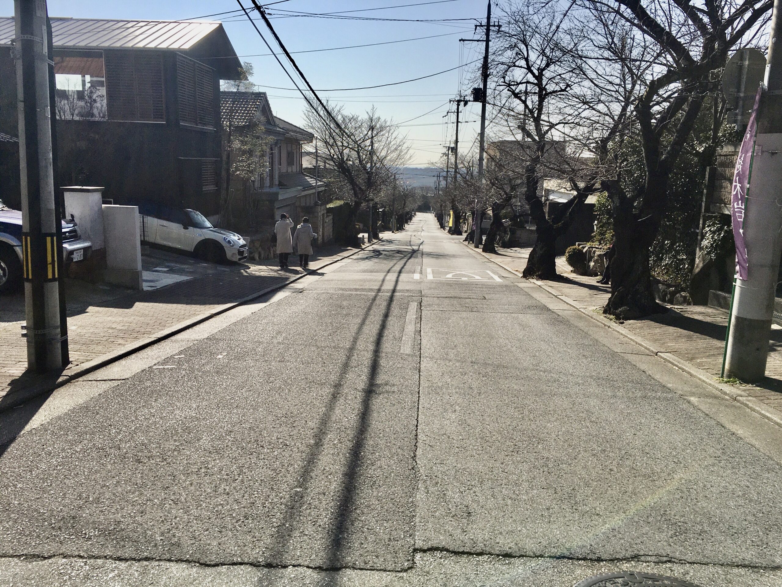 長い桜並木の坂道を登る