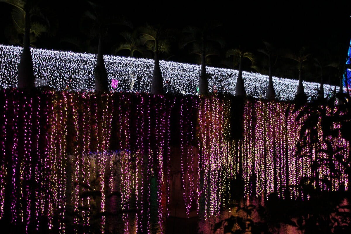 全国イルミネーションアワード第3位 東南植物楽園 沖縄南国イルミネーション オマツリジャパン あなたと祭りをつなげるメディア 全国イルミネーションアワード第3位 東南植物楽園 沖縄南国イルミネーション オマツリジャパン あなたと祭りをつなげるメディア