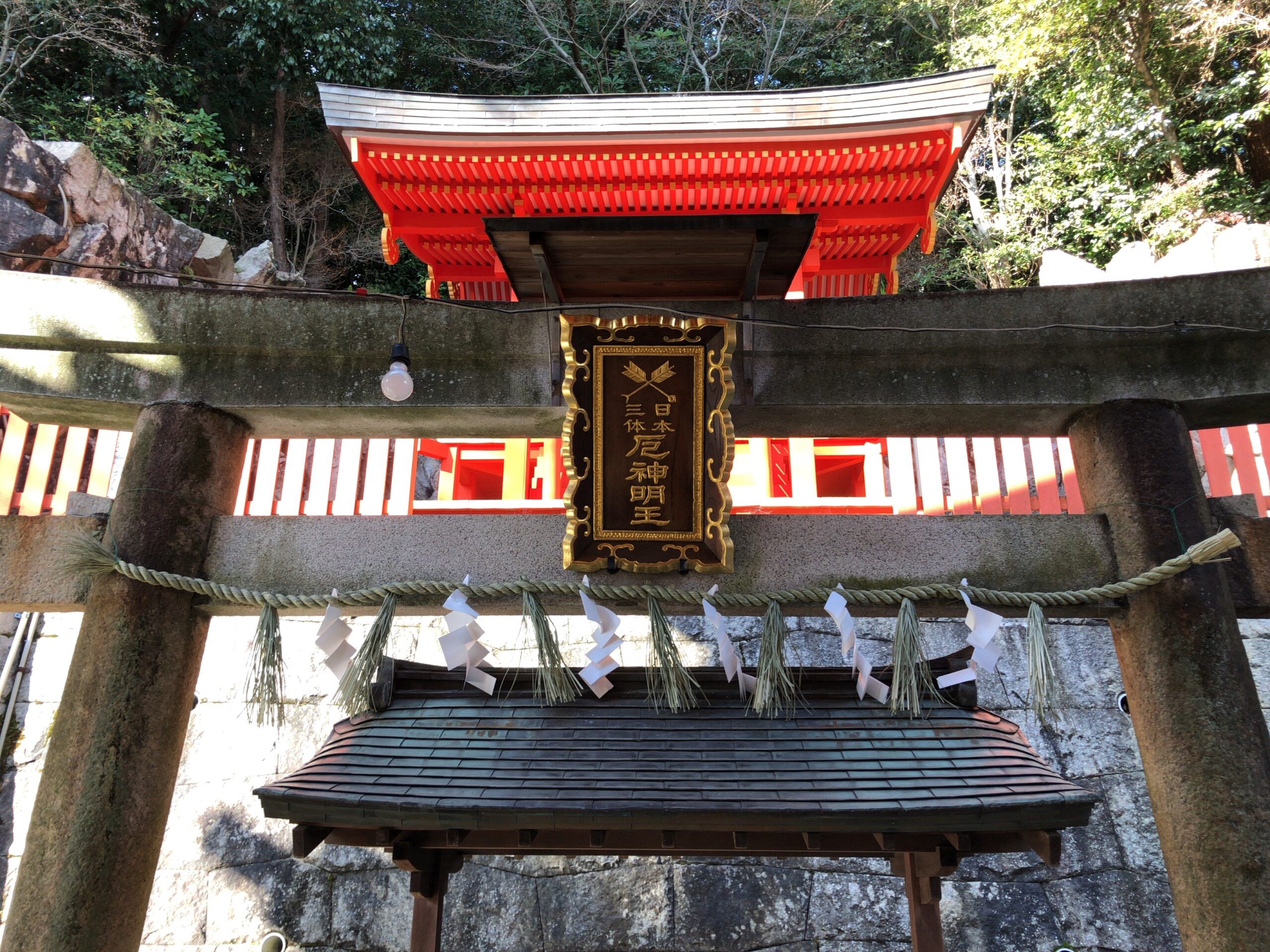 厄神明王が祀られている