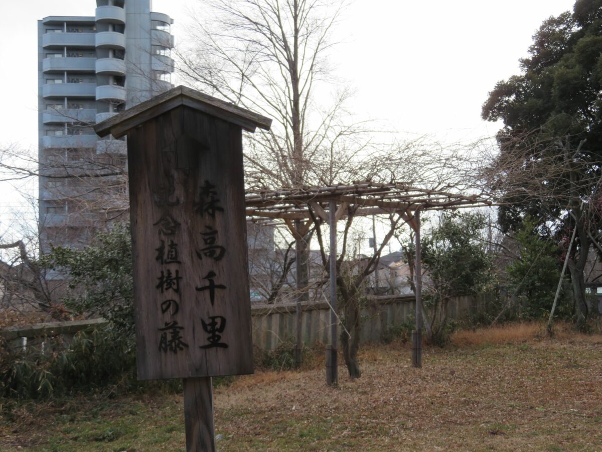 八雲神社とは？御朱印帳や絵馬に描かれる渡良瀬橋は森高千里の