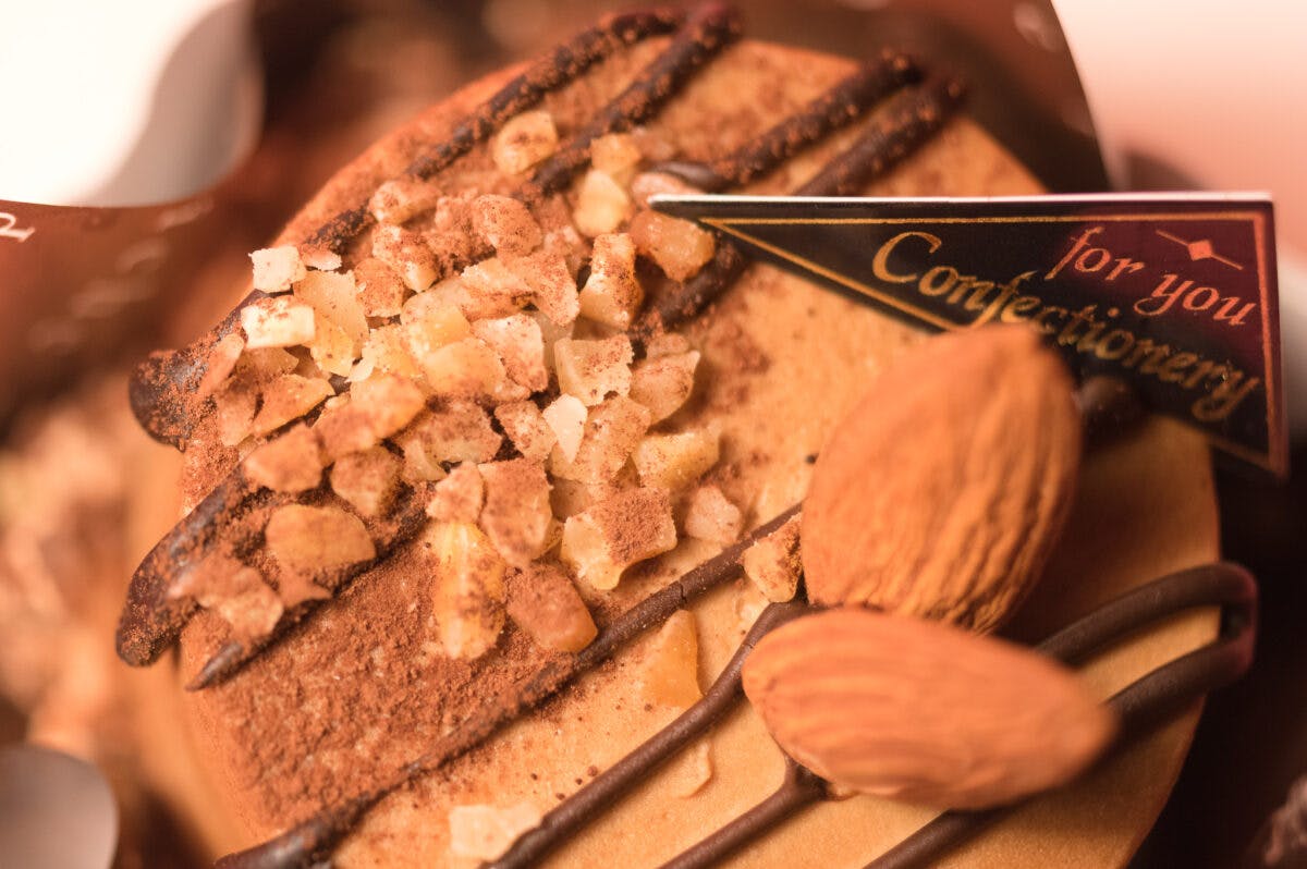 Pnp0i08bbocavm Pnp0i08bbocavm