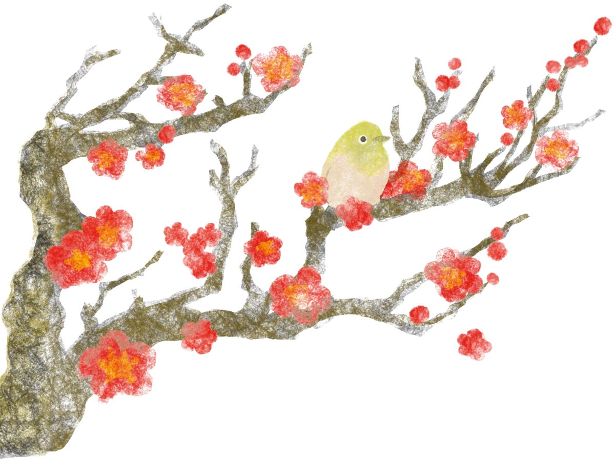 御朱印の中ではもう満開！日本各地の美しい梅の御朱印5選