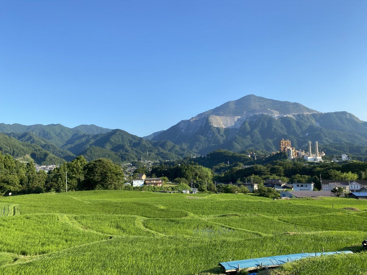 絵画 油絵 秋の武甲山 寺坂棚田日本の原風景 ミニ美 絵画油絵 絵画 油絵 秋の武甲山 寺坂棚田日本の原風景 ミニ美 絵画油絵