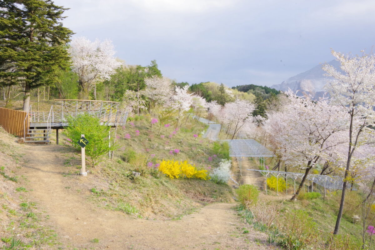 花咲山公園