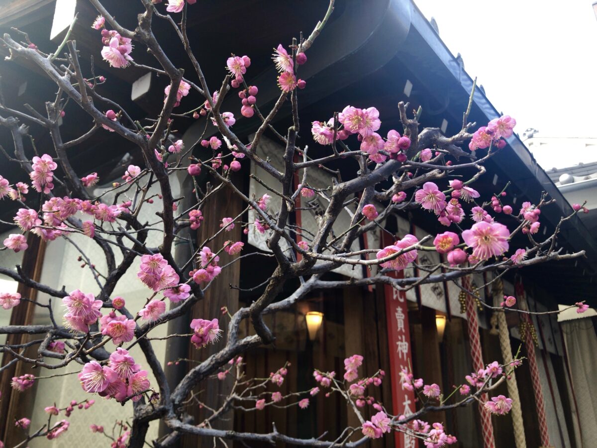 市比賣神社のひいなまつり
