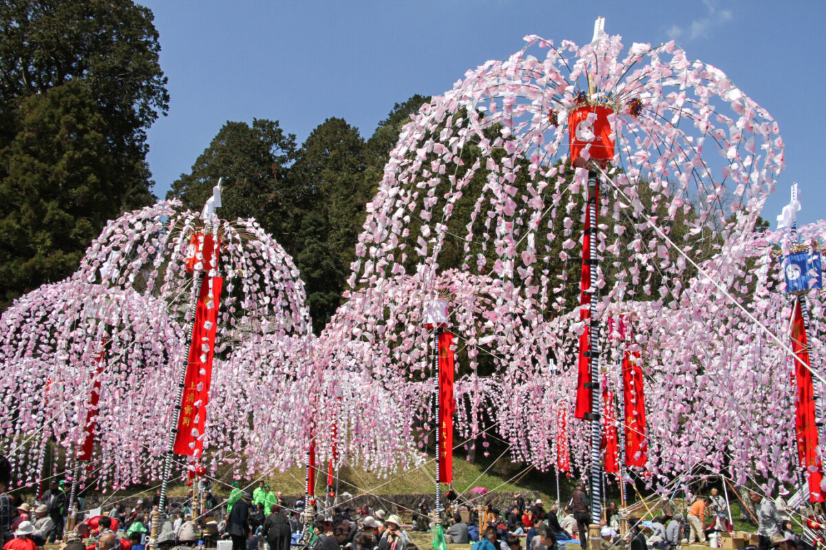 南山王祭「ホイノボリ」近江・日野の青空に映えるしだれ桜のようなピンクの幟