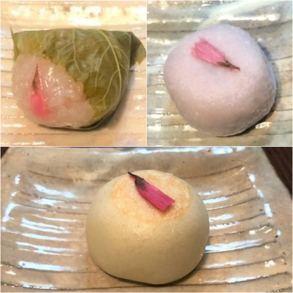 桜の季節をおいしく楽しもう♪たねやの桜の和菓子3選◎実食レポ