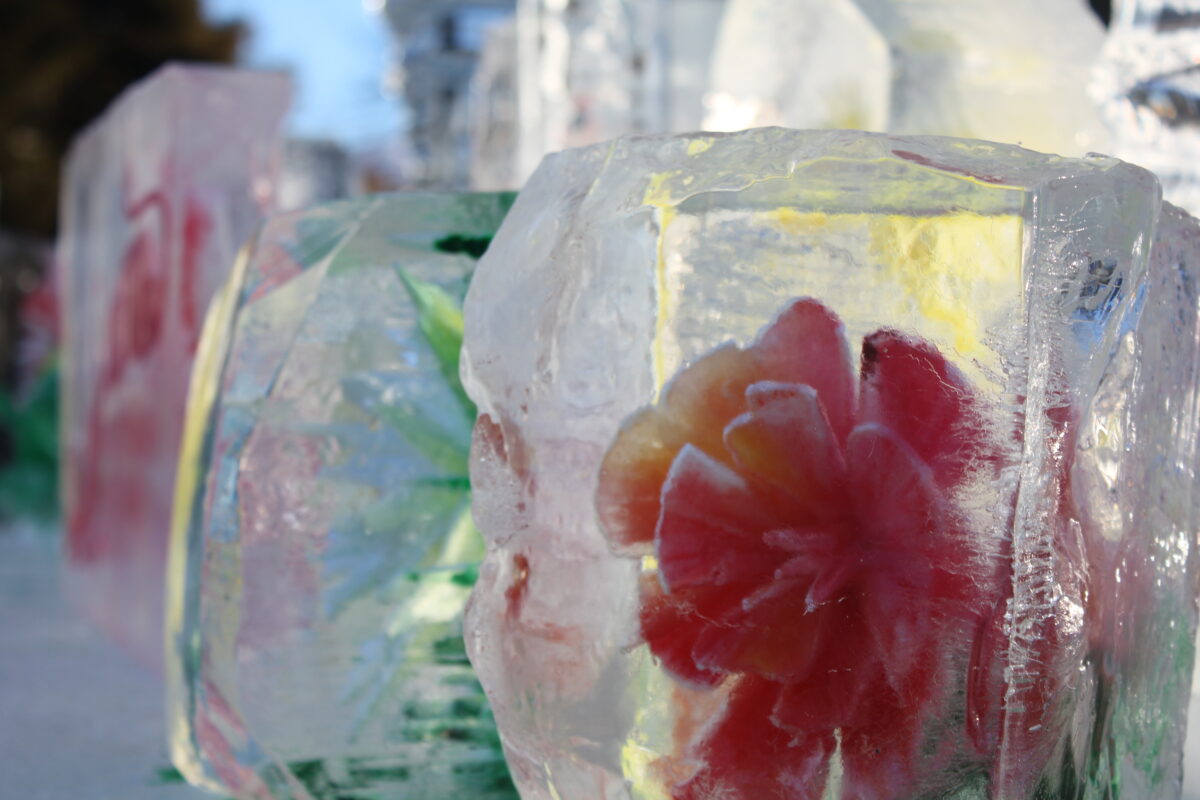 氷彫フェスティバル、松本城、氷像