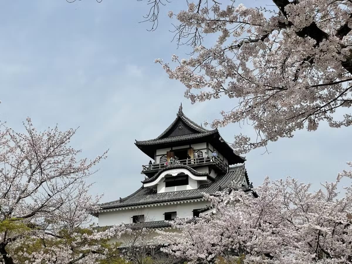 桜×城のコラボが美しすぎる！実は身近にもある？花見の名所の城10選