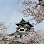 桜×城のコラボが美しすぎる！実は身近にもある？花見の名所の城10選