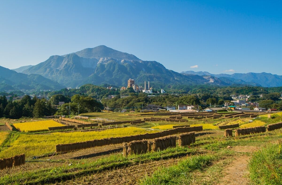 全季節フォトジェニック!都心からすぐ行ける日本の原風景・寺坂 全季節フォトジェニック!都心からすぐ行ける日本の原風景・寺坂