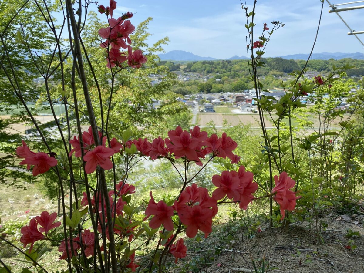 花咲山公園