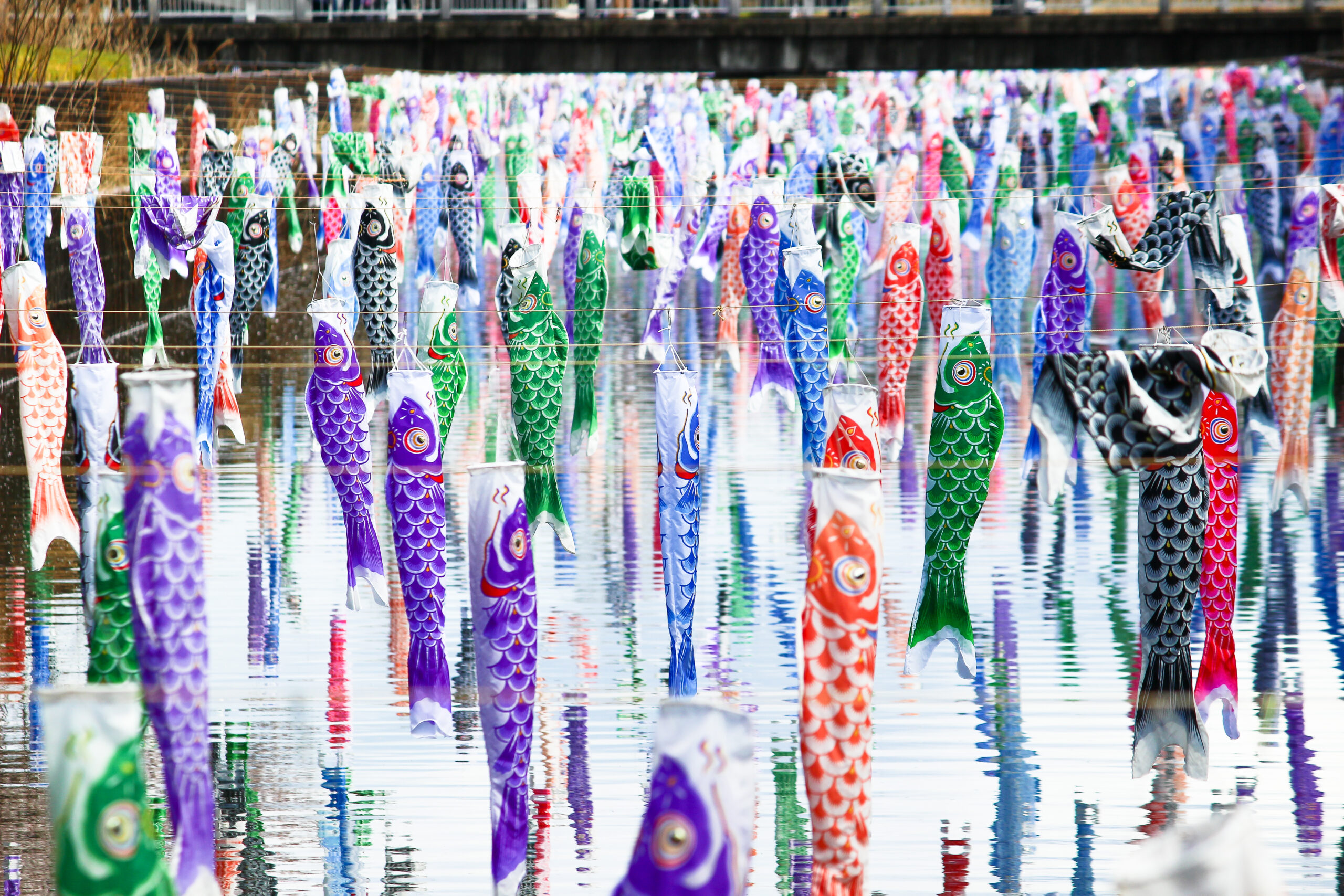 館林こいのぼり