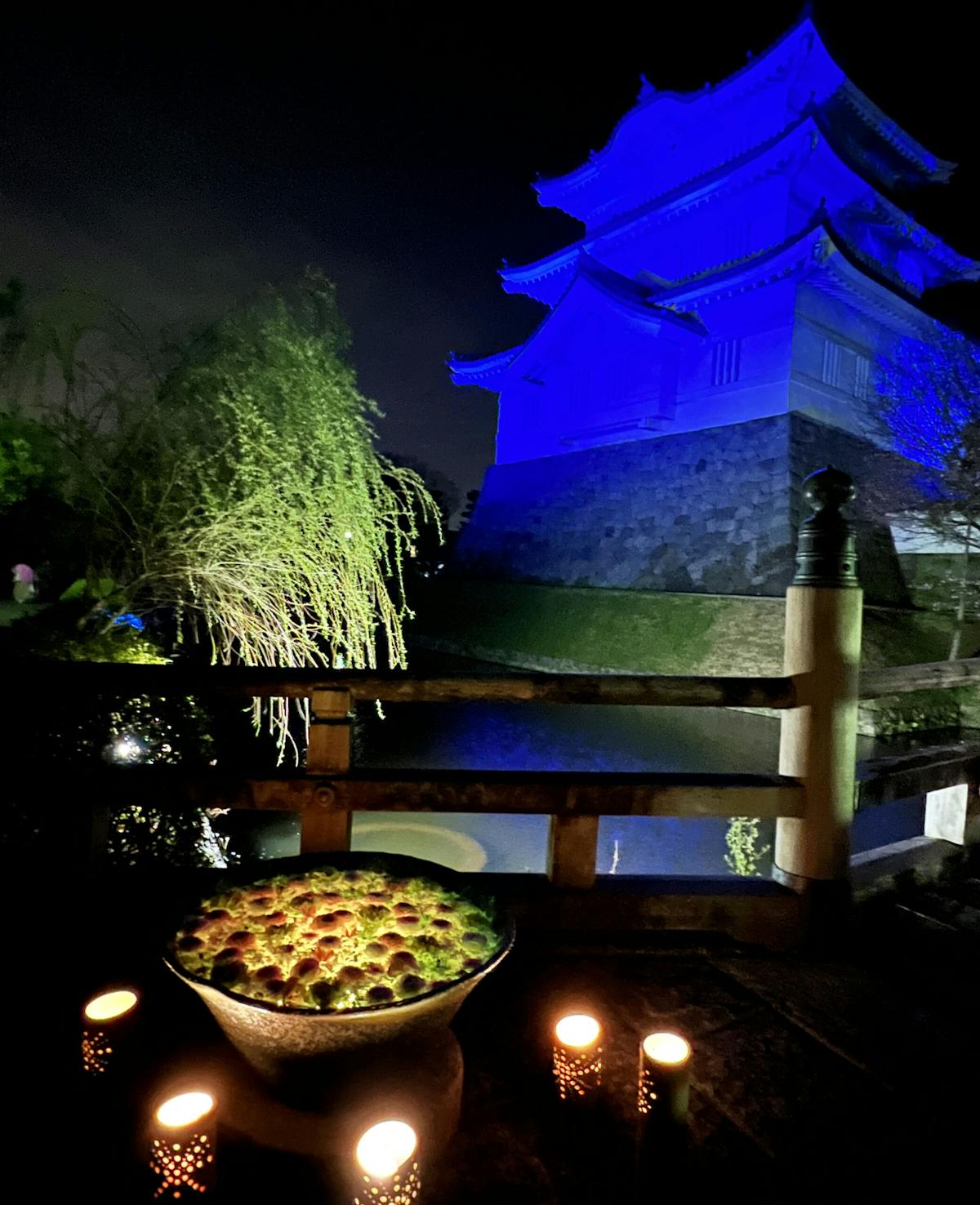 月に一度だけ 行田 花手水week 希望の光 ライトアップが描く幻想世界 オマツリジャパン あなたと祭りをつなげるメディア 月に一度だけ 行田 花手水week 希望の光 ライトアップが描く幻想世界 オマツリジャパン あなたと祭りをつなげるメディア